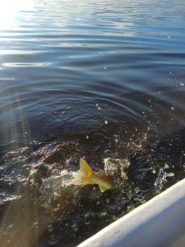 IMG-20260813-WA0005