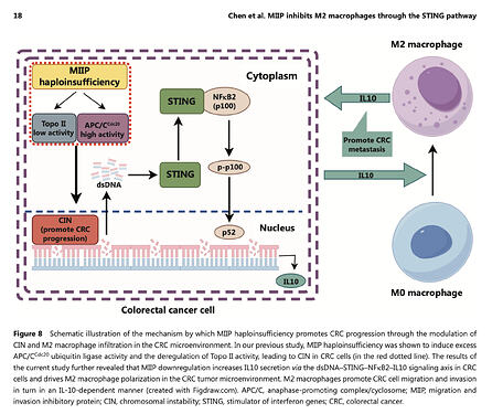 Screenshot 2026-03-22 at 22.53.55