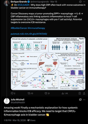 Screenshot 2026-03-20 at 12.11.35