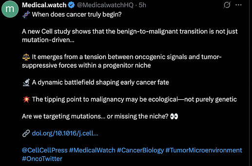 Screenshot 2026-04-17 at 1.37.17