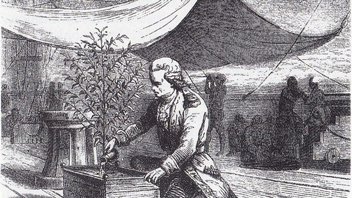 Gabriel-De-Clieu-takes-coffee-to-the-americas-1024x576
