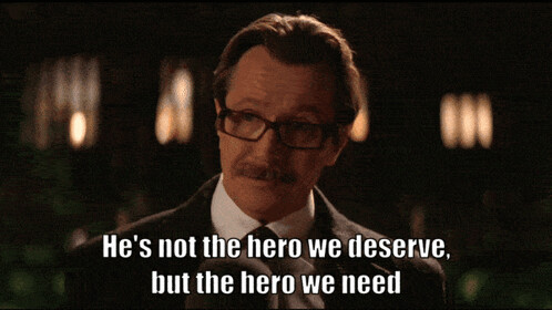 not-the-hero-we-deserve-hero-we-need