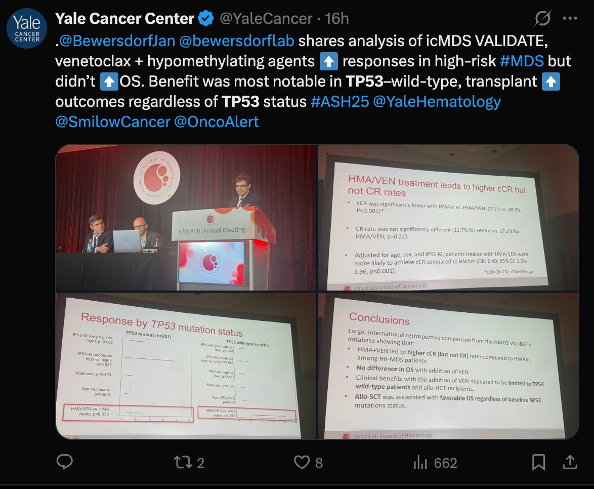 Screenshot 2025-12-08 at 15.08.56