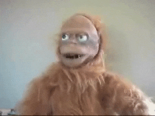 giphy (13)